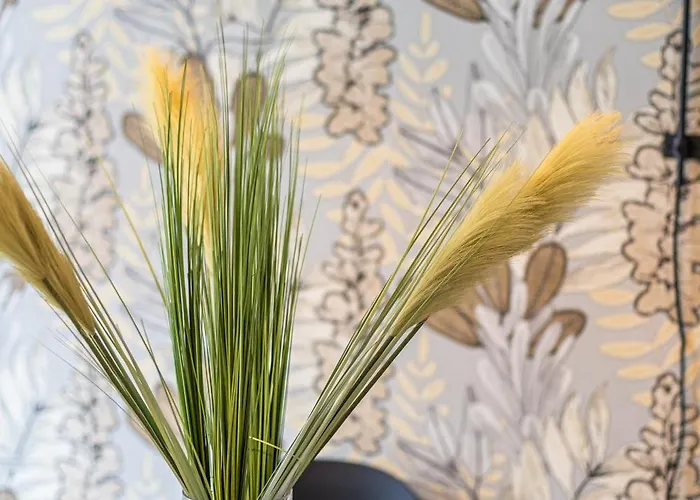 Cornelia Cozy - Cornelia Elegance House